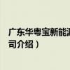 廣東華粵寶新能源有限公司（關于廣東華粵寶新能源有限公司介紹）