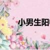 小男生陽帆（關于小男生陽帆簡介）