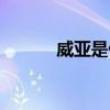 威亞是什么做的（威亞是什么）