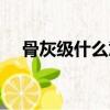 骨灰級什么意思啊（骨灰級是什么意思）