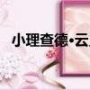 小理查德·云靈（關于小理查德·云靈簡介）