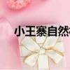 小王寨自然村（關于小王寨自然村簡介）