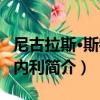 尼古拉斯·斯特法內利（關于尼古拉斯·斯特法內利簡介）