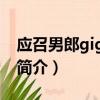 應召男郎gigolos（關于應召男郎gigolos的簡介）