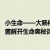 小生命——大腸桿菌解開生命奧秘（關于小生命——大腸桿菌解開生命奧秘簡介）