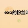 exo的粉絲叫什么粉（exo的粉絲叫什么）