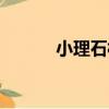小理石村（關于小理石村簡介）