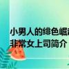 小男人的緋色崛起：非常女上司（關于小男人的緋色崛起：非常女上司簡介）