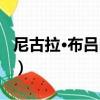 尼古拉·布呂內爾（關于尼古拉·布呂內爾簡介）