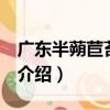 廣東半蒴苣苔 變種（關于廣東半蒴苣苔 變種介紹）