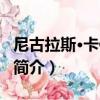 尼古拉斯·卡佩利諾（關于尼古拉斯·卡佩利諾簡介）