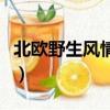 北歐野生風情錄（關于北歐野生風情錄的簡介）