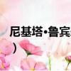 尼基塔·魯賓采夫（關于尼基塔·魯賓采夫簡介）