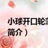 小球開口輪藻 新種（關于小球開口輪藻 新種簡介）