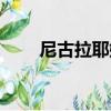 尼古拉耶娃（關于尼古拉耶娃簡介）
