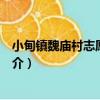 小甸鎮魏廟村志愿服務隊（關于小甸鎮魏廟村志愿服務隊簡介）
