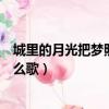城里的月光把夢照亮這是什么歌（城里的月光把夢照亮是什么歌）