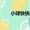 小球快快跑（關于小球快快跑簡介）