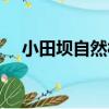 小田壩自然村（關于小田壩自然村簡介）