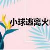 小球逃離火山（關于小球逃離火山簡介）