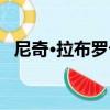 尼奇·拉布羅卡（關于尼奇·拉布羅卡簡介）