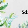 5d2視頻機（5d2套機）