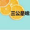 三公是啥意思（玩三公是什么意思）