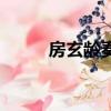 房玄齡奏文言文翻譯（房玄齡奏）