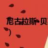 尼古拉斯·貝萊斯（關于尼古拉斯·貝萊斯簡介）
