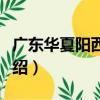 廣東華夏陽西電廠（關于廣東華夏陽西電廠介紹）