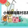 小甸鎮馬集村志愿服務隊（關于小甸鎮馬集村志愿服務隊簡介）