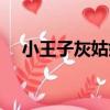 小王子灰姑娘（關于小王子灰姑娘簡介）