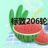 標致206輪胎型號規格（標致206輪胎）