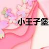 小王子堡壘（關于小王子堡壘簡介）