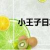 小王子日志（關于小王子日志簡介）