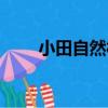 小田自然村（關于小田自然村簡介）