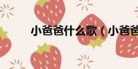 小爸爸什么歌(小爸爸中的歌曲)