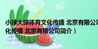 小球大球體育文化傳播 北京有限公司(關于小球大球體育文化傳播 北京有限公司簡介)