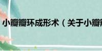 小瓣瓣環成形術(關于小瓣瓣環成形術簡介)