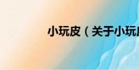 小玩皮(關于小玩皮簡介)