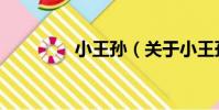 小王孫(關于小王孫簡介)