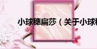 小球穗扁莎(關于小球穗扁莎簡介)