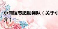 小甸鎮志愿服務隊(關于小甸鎮志愿服務隊簡介)