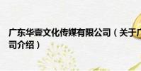 廣東華壹文化傳媒有限公司(關于廣東華壹文化傳媒有限公司介紹)