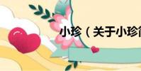 小珍(關于小珍簡介)