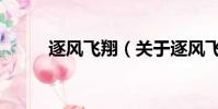 逐風飛翔(關于逐風飛翔的簡介)