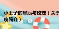 小王子的星辰與玫瑰(關于小王子的星辰與玫瑰簡介)