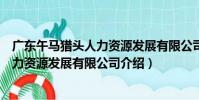 廣東午馬獵頭人力資源發展有限公司(關于廣東午馬獵頭人力資源發展有限公司介紹)