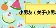 小男友(關于小男友簡介)