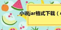 小說jar格式下載(小說jar)